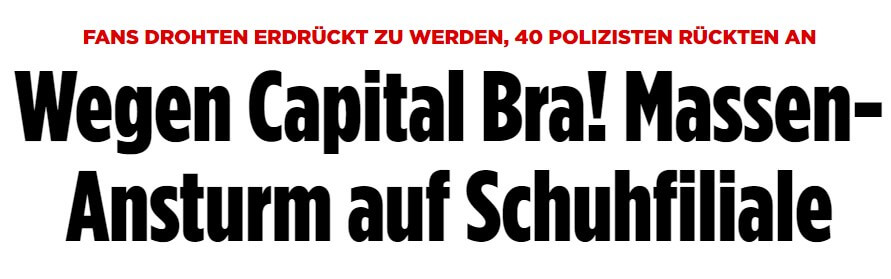 Artikel von der BILD