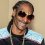 Teuerster Blunt der Welt? – Snoop Dogg versteigert einen angerauchten Blunt