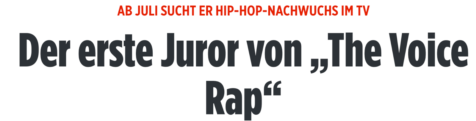 Artikel der BILD-Zeitung