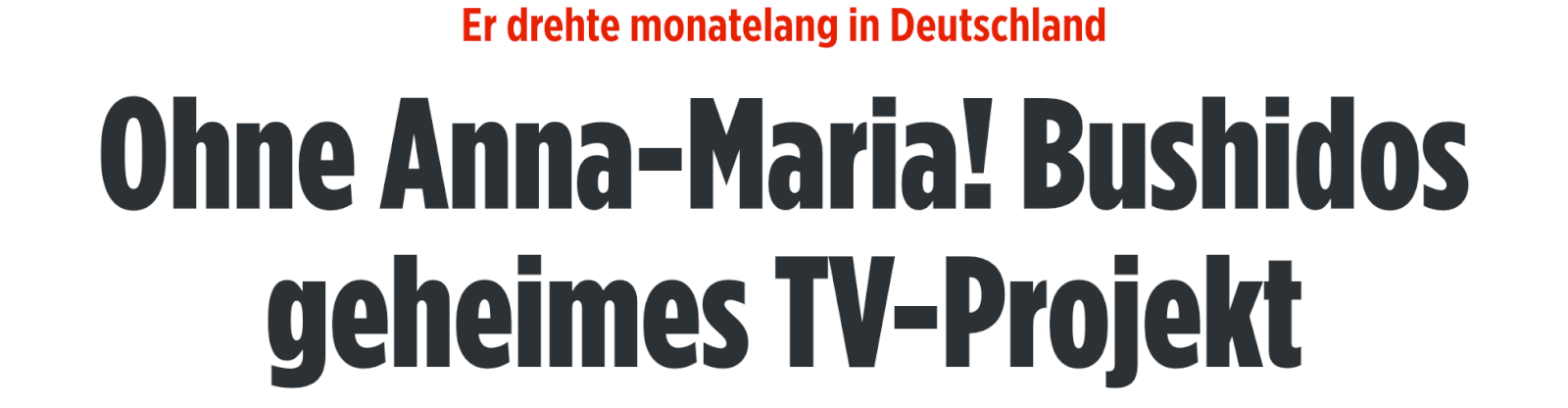 Artikel der BILD Zeitung