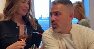 „Wir hätten da S*x“ – Bushido möchte mit Anna-Maria ins Sommerhaus der Stars