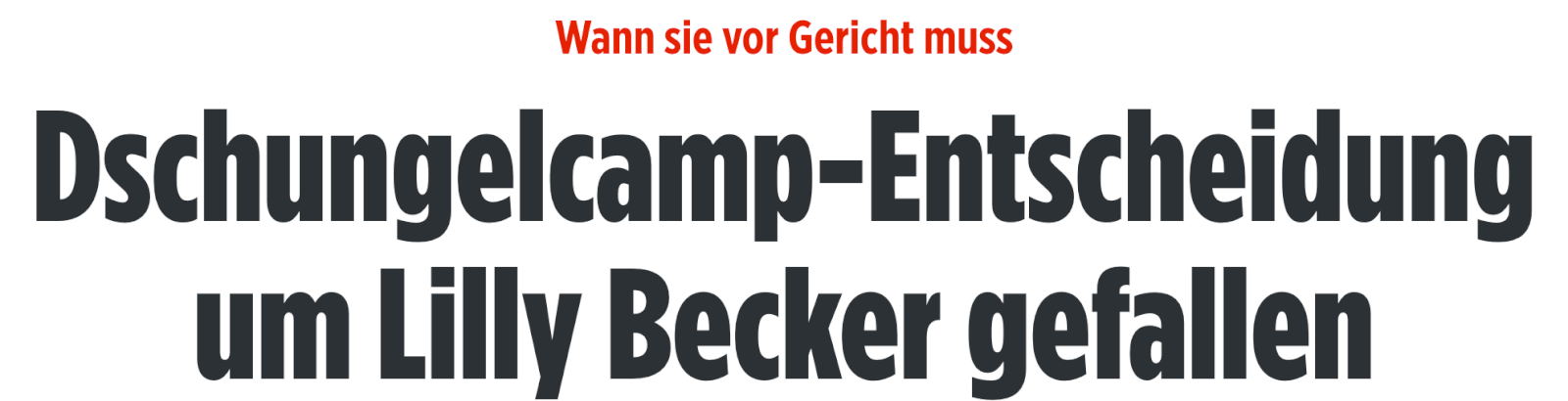 Artikel der Bild