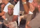 Während Pressekonferenz – Jake Paul beim Konsum einer unbekannten Substanz heimlich gefilmt