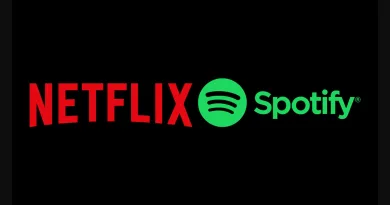 Neue Verdienstmöglichkeit – Spotify und Netflix schließen Deal ab