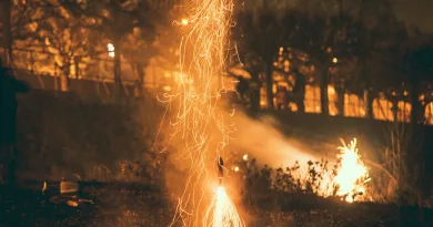 „Ich finde diese Feuerwerksscheiße einfach nur dumm“ „Ich finde diese Feuerwerksscheiße einfach nur dumm“