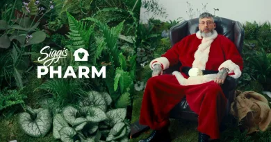 „Geht nur ums schnelle Geld“ – Apothekerkammer lässt Cannabis-Geschäft von Sido verbieten