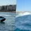 Fler (44) verursacht Kollision mit seinem Jetski und crasht in Rapkollegen