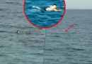 Strömung erfasst Ali Bumayé auf offenem Meer und zieht ihn mit Strömung erfasst Ali Bumayé auf offenem Meer und zieht ihn mit